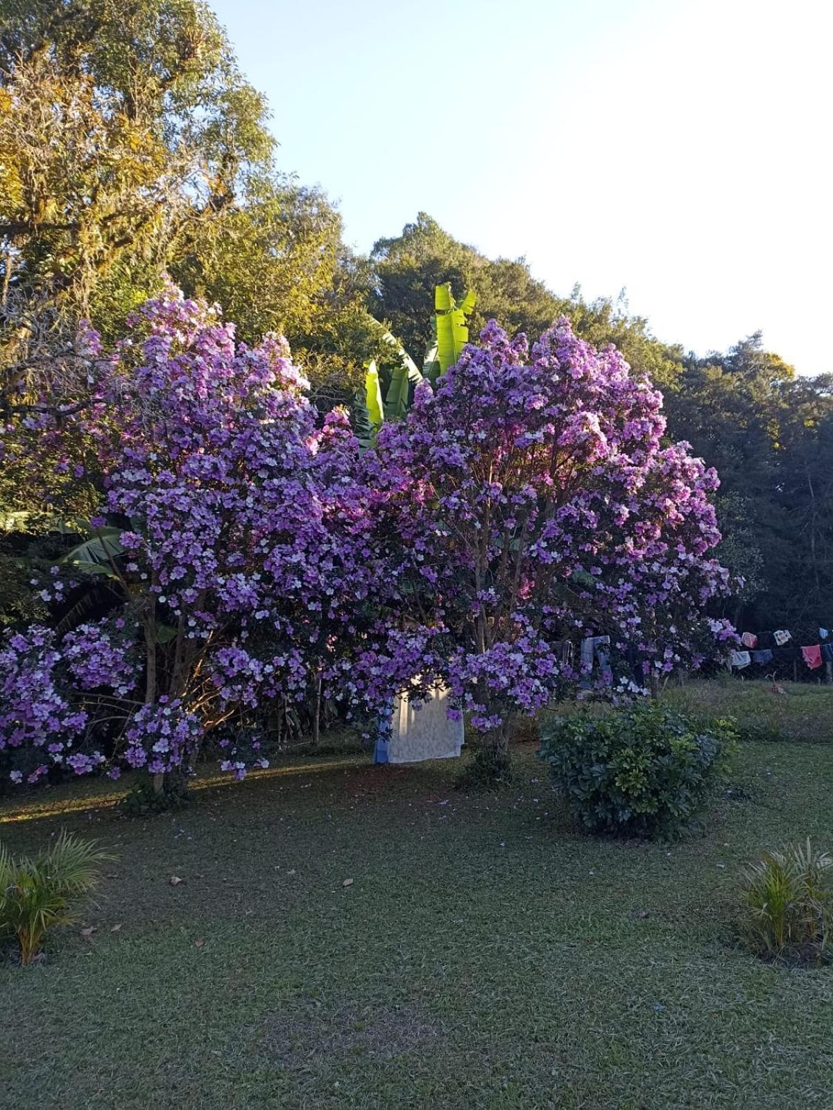 Chacara Cafe Nakombi'S Коломбо Экстерьер фото